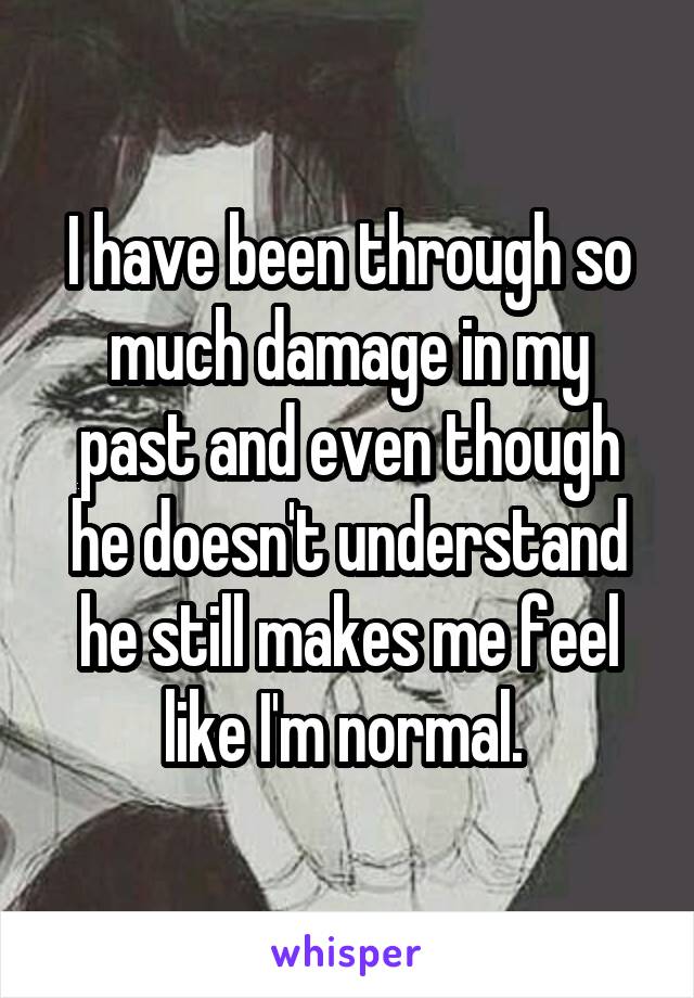 I have been through so much damage in my past and even though he doesn't understand he still makes me feel like I'm normal. 