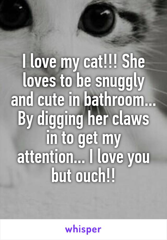 I love my cat!!! She loves to be snuggly and cute in bathroom... By digging her claws in to get my attention... I love you but ouch!!