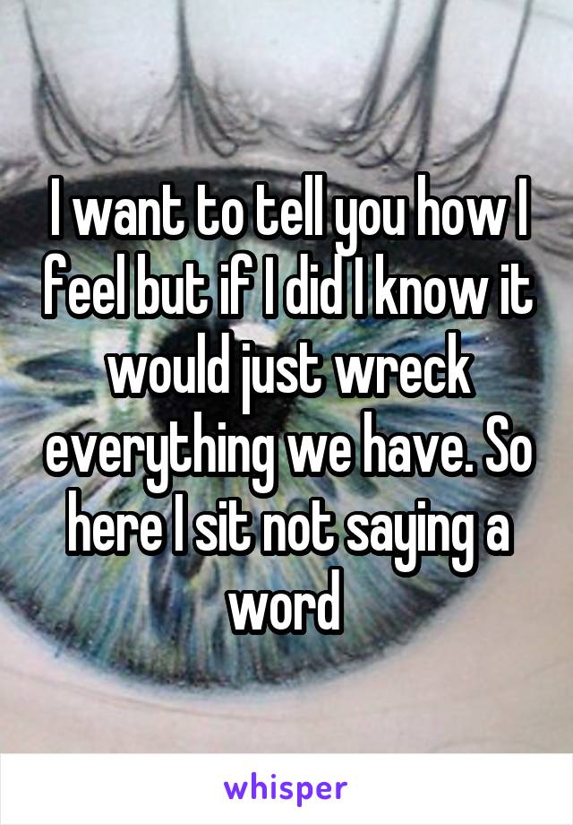 I want to tell you how I feel but if I did I know it would just wreck everything we have. So here I sit not saying a word 