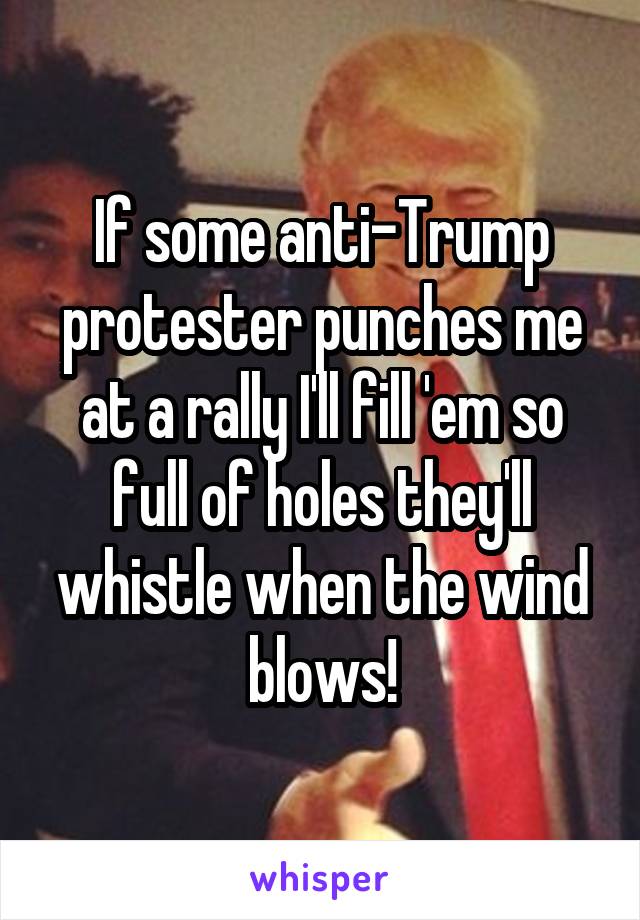 If some anti-Trump protester punches me at a rally I'll fill 'em so full of holes they'll whistle when the wind blows!