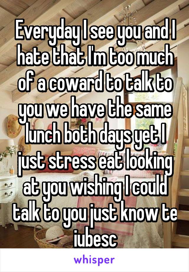 Everyday I see you and I hate that I'm too much of a coward to talk to you we have the same lunch both days yet I just stress eat looking at you wishing I could talk to you just know te iubesc