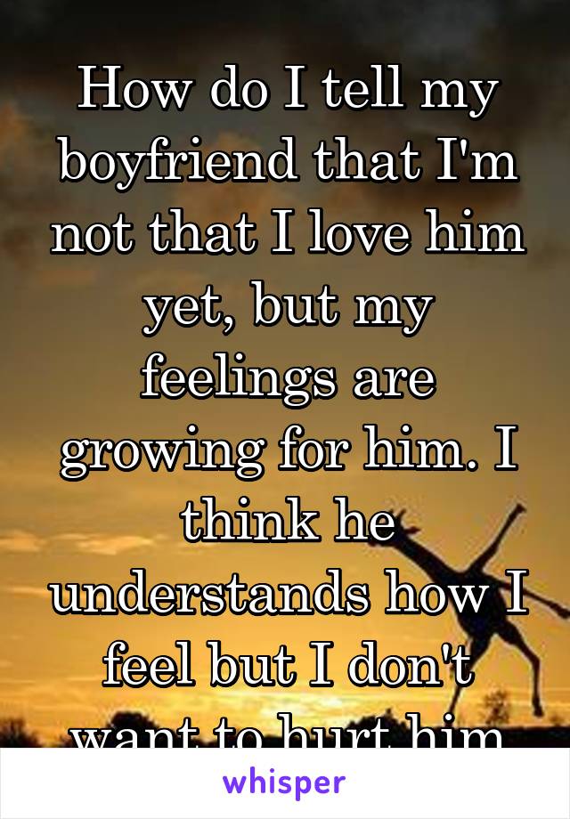 How do I tell my boyfriend that I'm not that I love him yet, but my feelings are growing for him. I think he understands how I feel but I don't want to hurt him