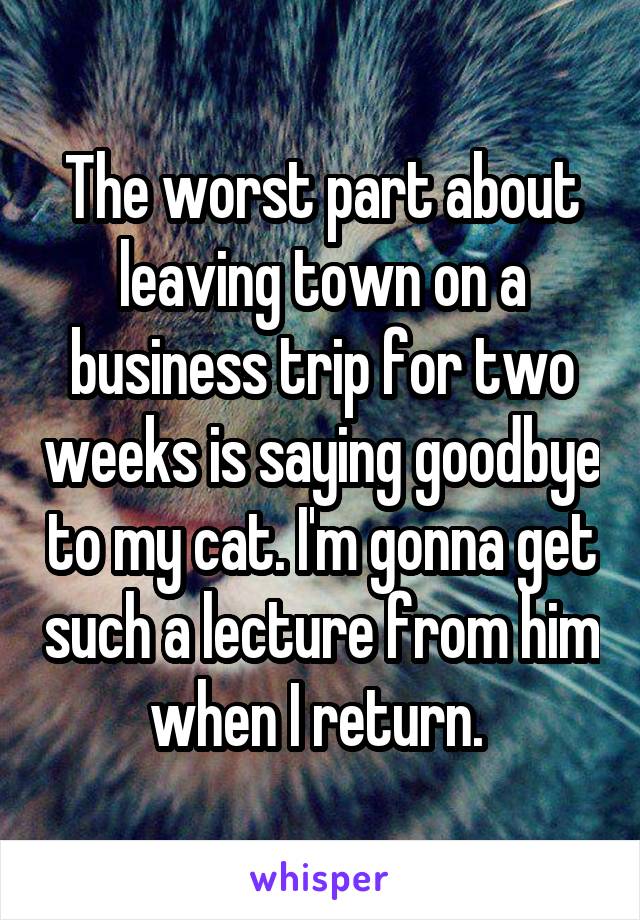 The worst part about leaving town on a business trip for two weeks is saying goodbye to my cat. I'm gonna get such a lecture from him when I return. 