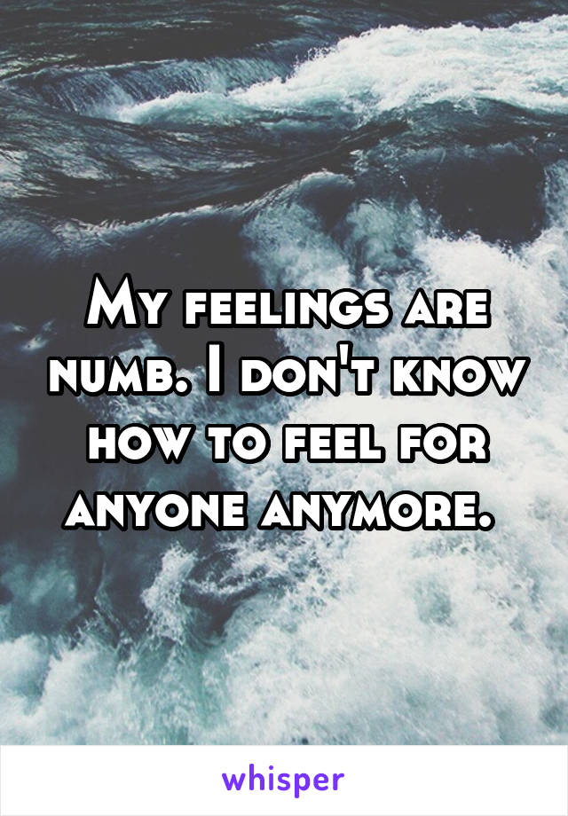 My feelings are numb. I don't know how to feel for anyone anymore. 