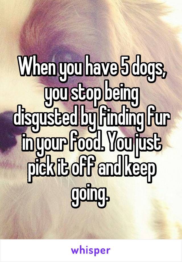 When you have 5 dogs, you stop being disgusted by finding fur in your food. You just pick it off and keep going. 