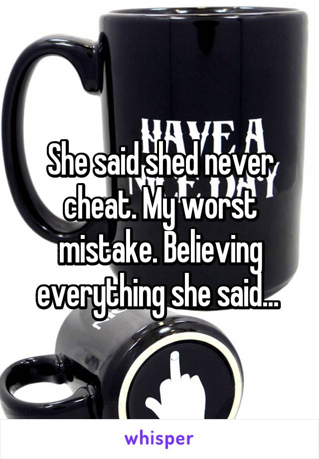 She said shed never cheat. My worst mistake. Believing everything she said... 