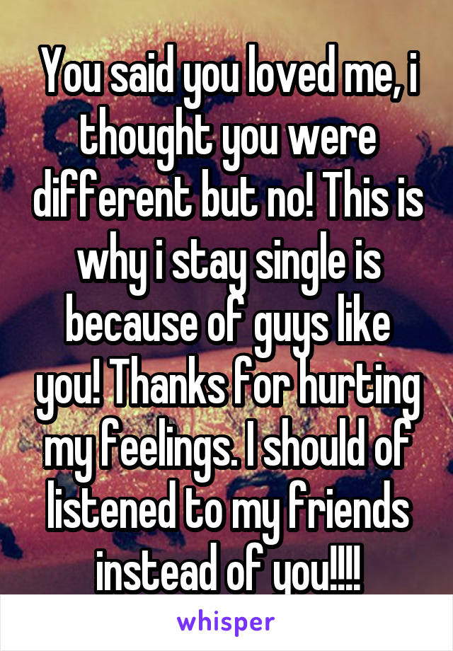 You said you loved me, i thought you were different but no! This is why i stay single is because of guys like you! Thanks for hurting my feelings. I should of listened to my friends instead of you!!!!