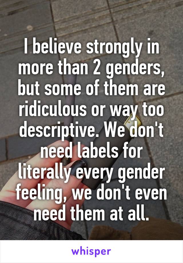 I believe strongly in more than 2 genders, but some of them are ridiculous or way too descriptive. We don't need labels for literally every gender feeling, we don't even need them at all.