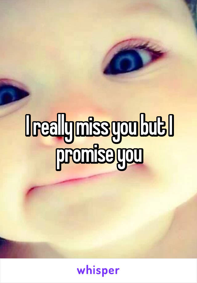 I really miss you but I promise you