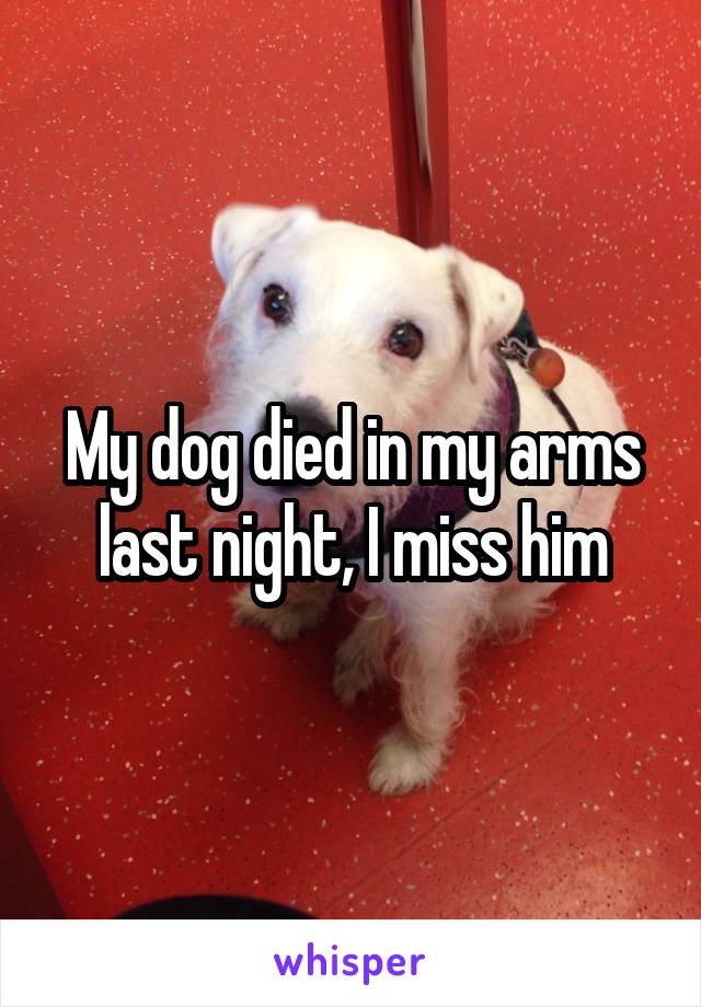 My dog died in my arms last night, I miss him