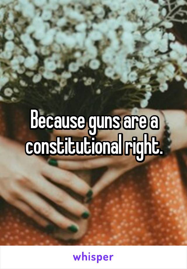 Because guns are a constitutional right.