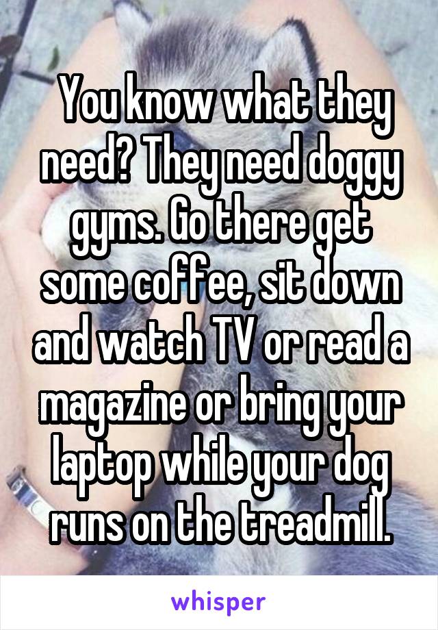  You know what they need? They need doggy gyms. Go there get some coffee, sit down and watch TV or read a magazine or bring your laptop while your dog runs on the treadmill.