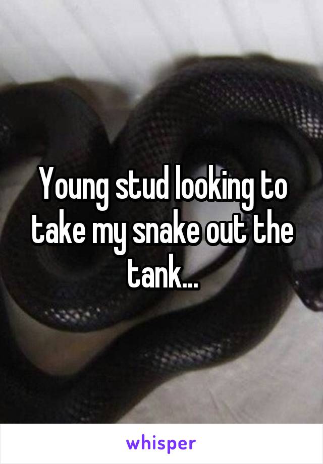 Young stud looking to take my snake out the tank...