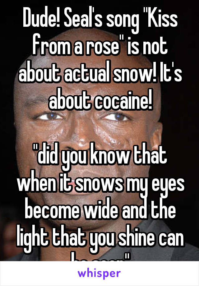 Dude! Seal's song "Kiss from a rose" is not about actual snow! It's about cocaine!

"did you know that when it snows my eyes become wide and the light that you shine can be seen"