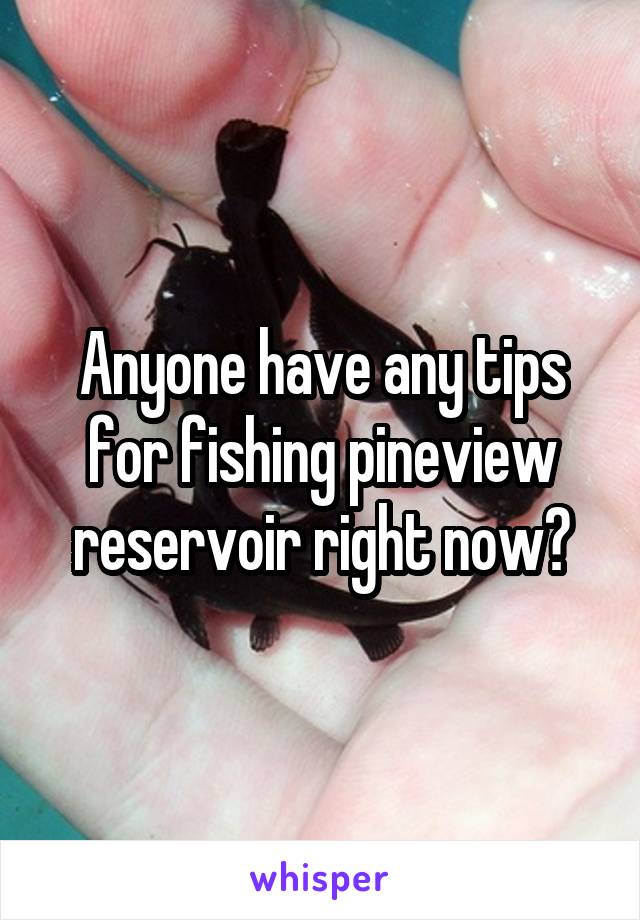 Anyone have any tips for fishing pineview reservoir right now?