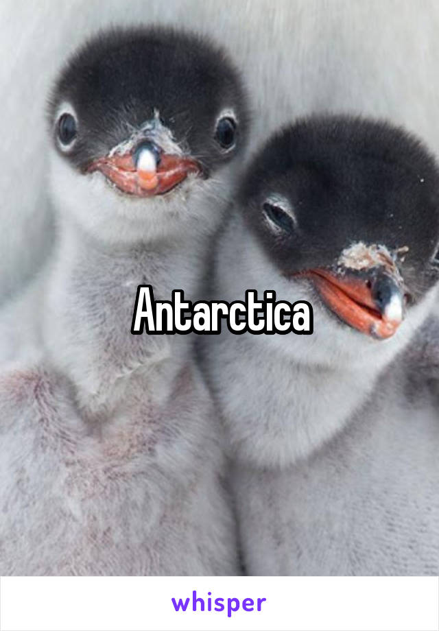 Antarctica