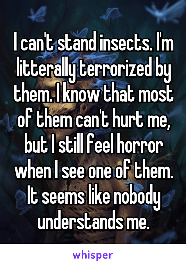 I can't stand insects. I'm litterally terrorized by them. I know that most of them can't hurt me, but I still feel horror when I see one of them. It seems like nobody understands me.