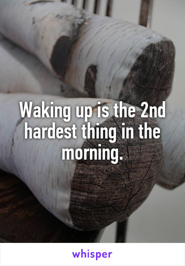 Waking up is the 2nd hardest thing in the morning.