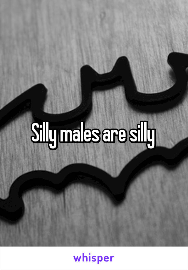 Silly males are silly 