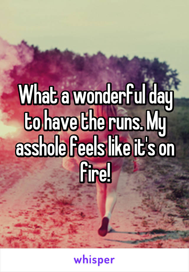 What a wonderful day to have the runs. My asshole feels like it's on fire!