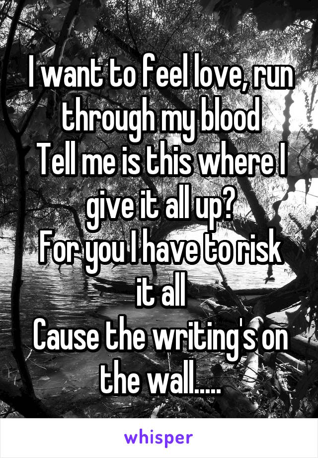 I want to feel love, run through my blood
Tell me is this where I give it all up?
For you I have to risk it all
Cause the writing's on the wall.....