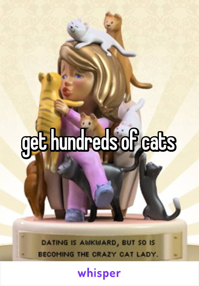 get hundreds of cats 