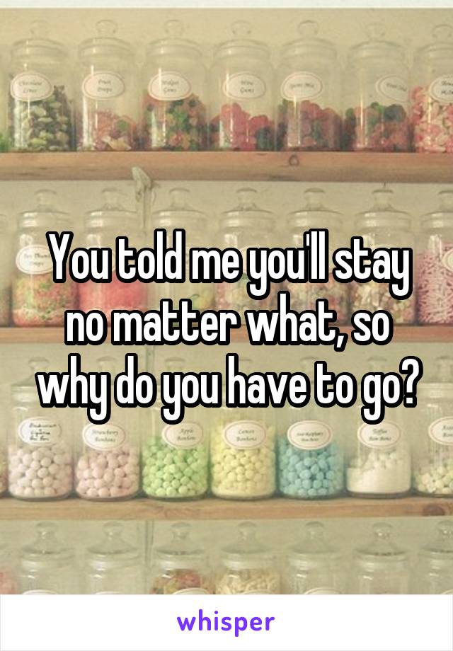 You told me you'll stay no matter what, so why do you have to go?