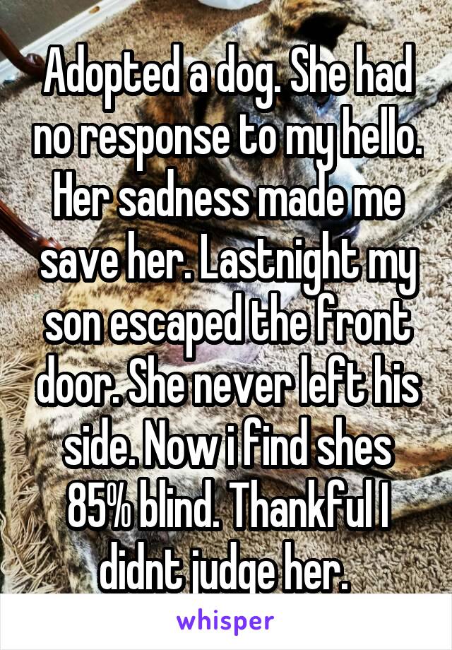 Adopted a dog. She had no response to my hello. Her sadness made me save her. Lastnight my son escaped the front door. She never left his side. Now i find shes 85% blind. Thankful I didnt judge her. 