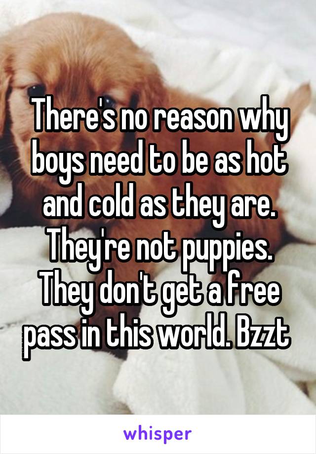 There's no reason why boys need to be as hot and cold as they are. They're not puppies. They don't get a free pass in this world. Bzzt 