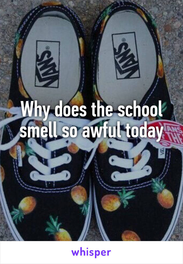 Why does the school smell so awful today
