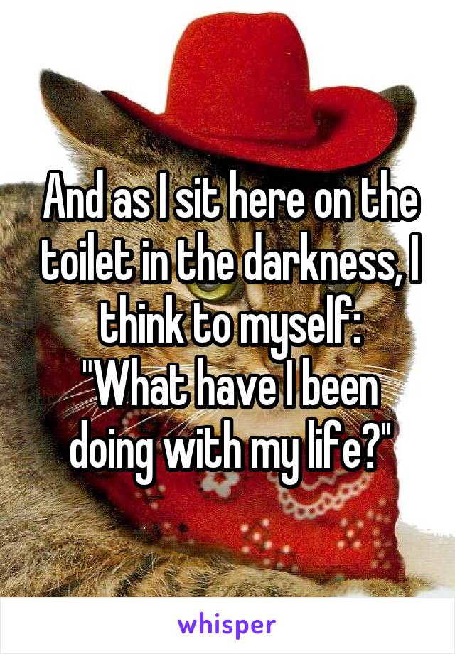 And as I sit here on the toilet in the darkness, I think to myself:
"What have I been doing with my life?"