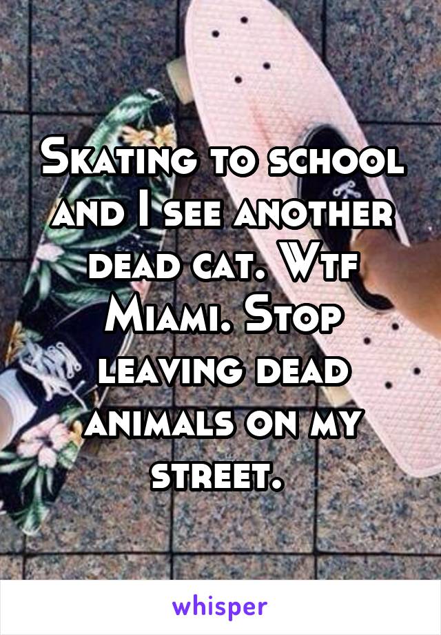 Skating to school and I see another dead cat. Wtf Miami. Stop leaving dead animals on my street. 