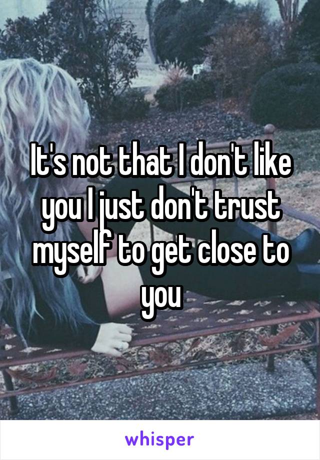 It's not that I don't like you I just don't trust myself to get close to you