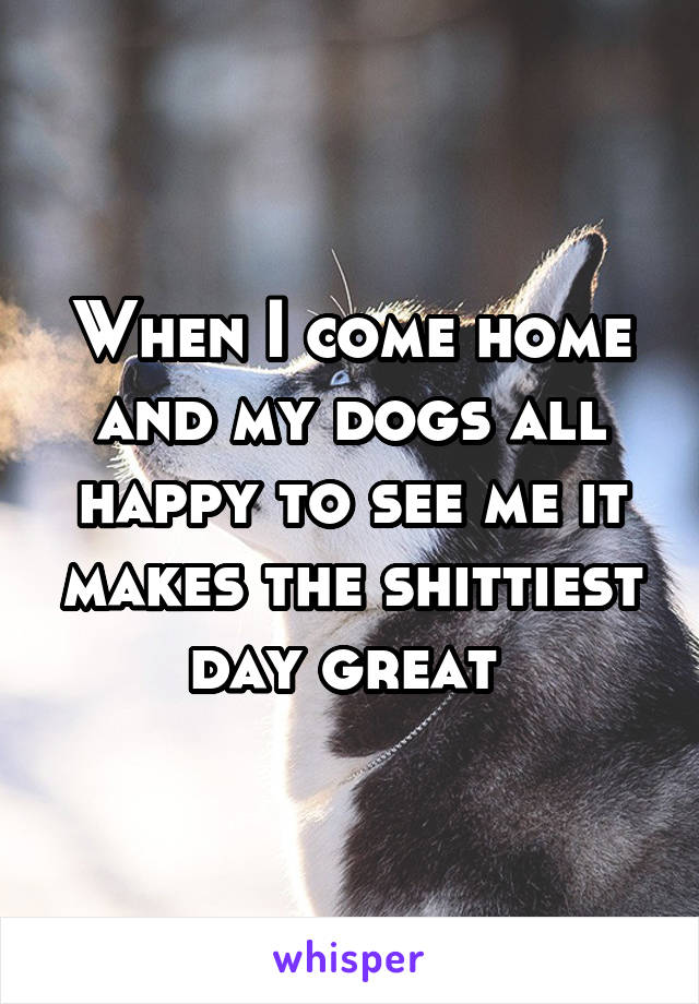 When I come home and my dogs all happy to see me it makes the shittiest day great 