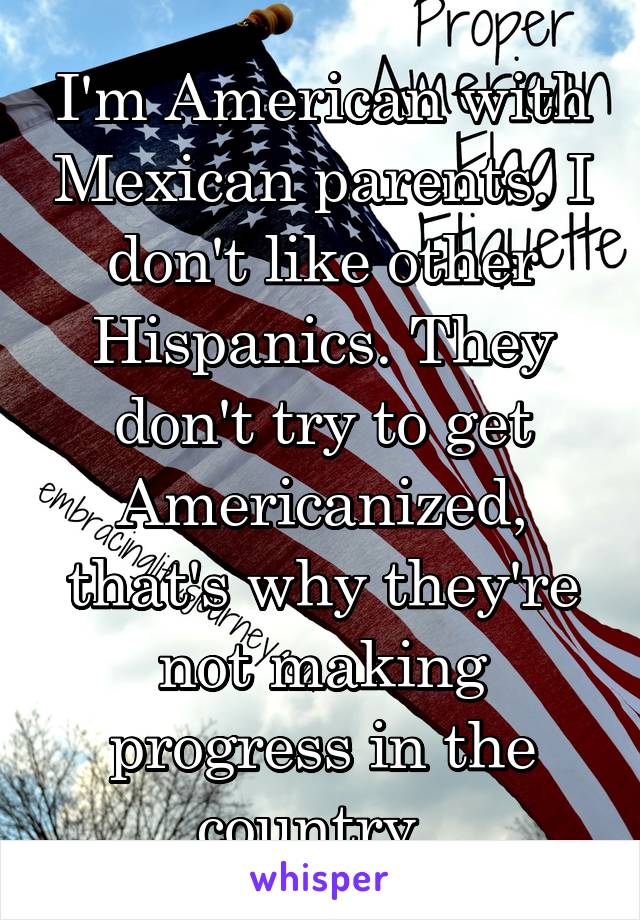 I'm American with Mexican parents. I don't like other Hispanics. They don't try to get Americanized, that's why they're not making progress in the country. 