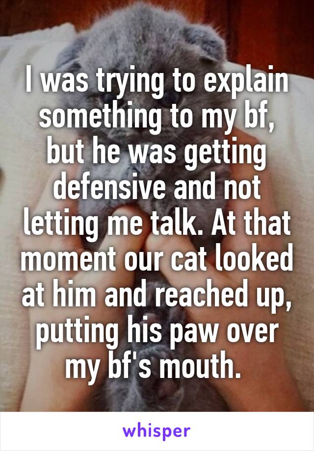 I was trying to explain something to my bf, but he was getting defensive and not letting me talk. At that moment our cat looked at him and reached up, putting his paw over my bf's mouth. 