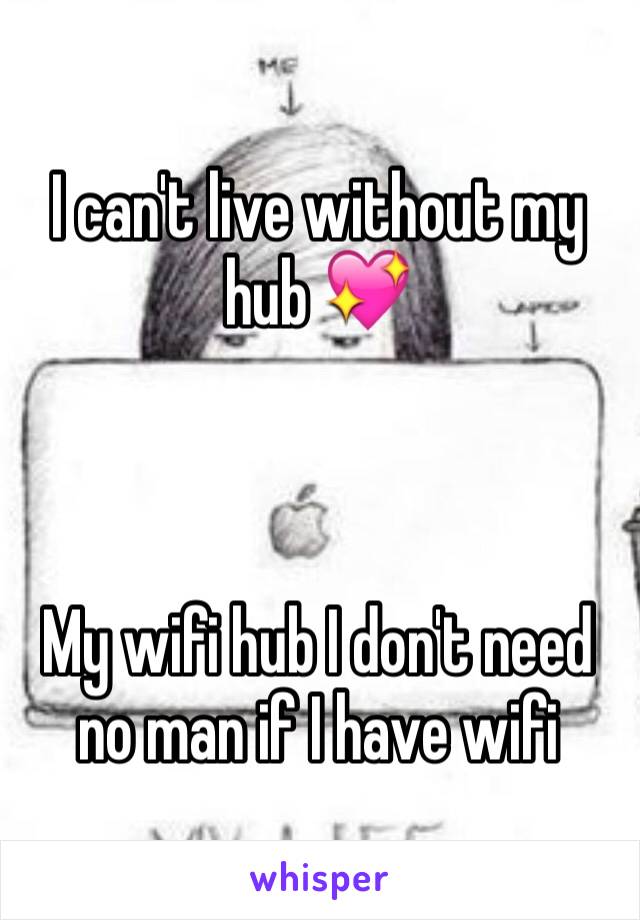 I can't live without my hub 💖



My wifi hub I don't need no man if I have wifi