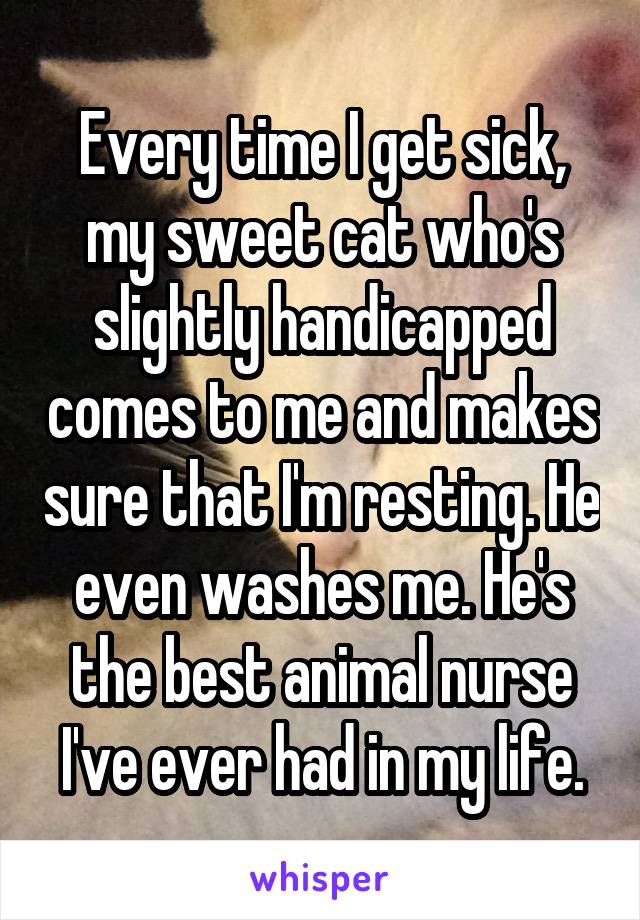 Every time I get sick, my sweet cat who's slightly handicapped comes to me and makes sure that I'm resting. He even washes me. He's the best animal nurse I've ever had in my life.