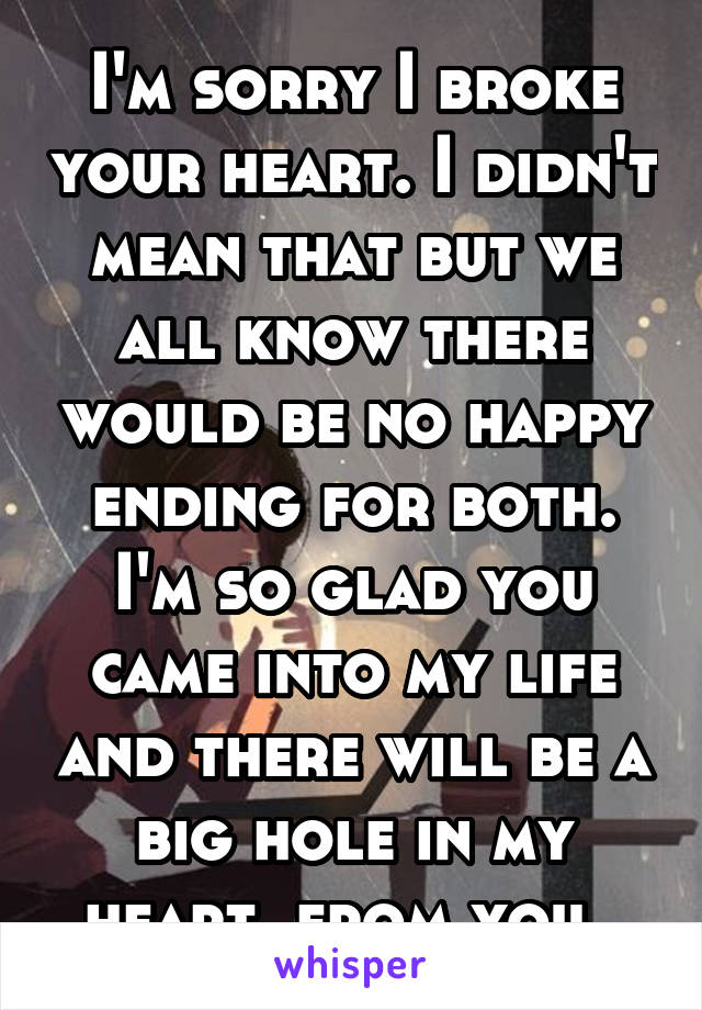 I'm sorry I broke your heart. I didn't mean that but we all know there would be no happy ending for both. I'm so glad you came into my life and there will be a big hole in my heart, from you. 