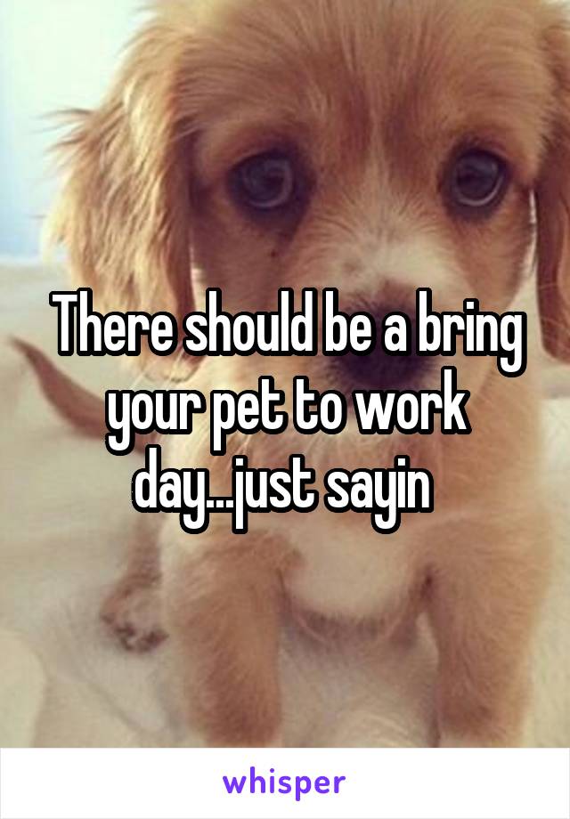 There should be a bring your pet to work day...just sayin 