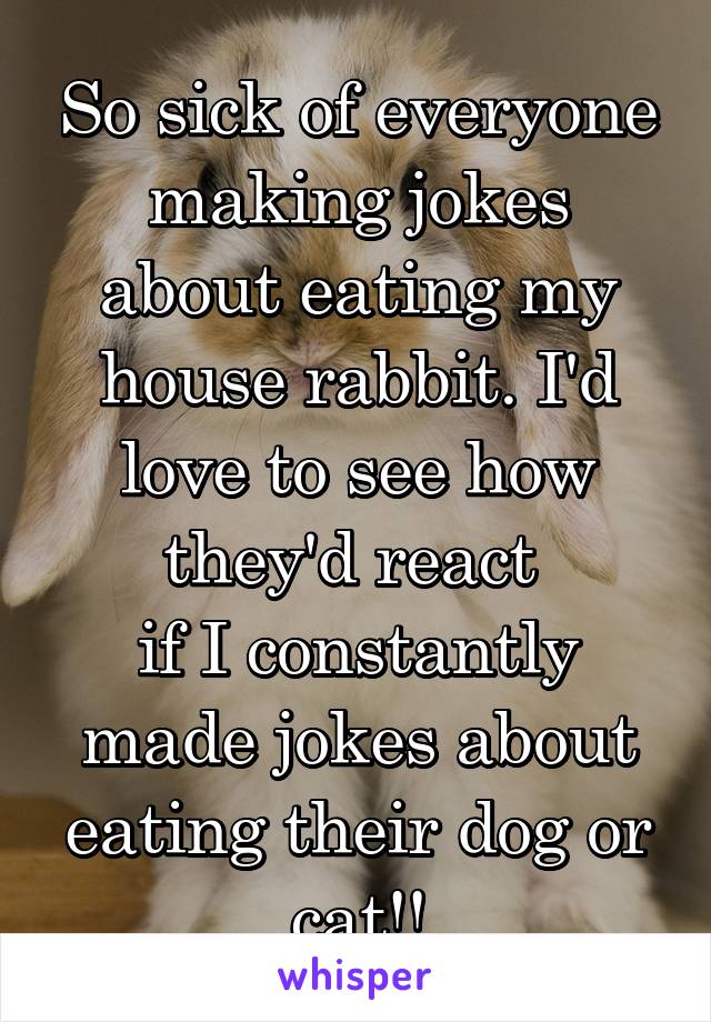 So sick of everyone making jokes about eating my house rabbit. I'd love to see how they'd react 
if I constantly made jokes about eating their dog or cat!!