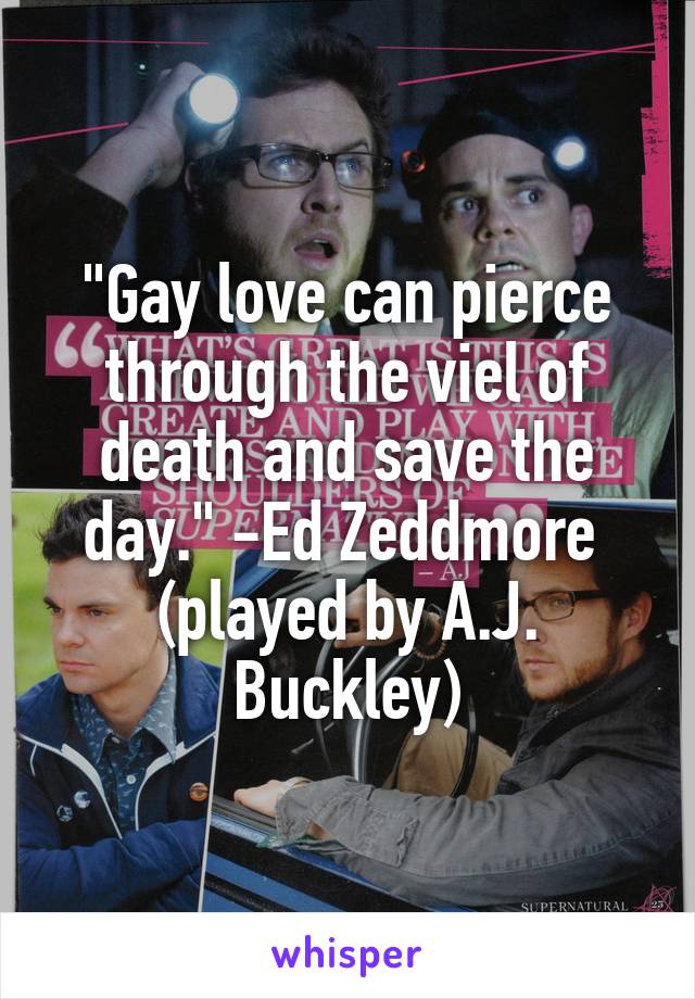 "Gay love can pierce through the viel of death and save the day." -Ed Zeddmore  (played by A.J. Buckley)