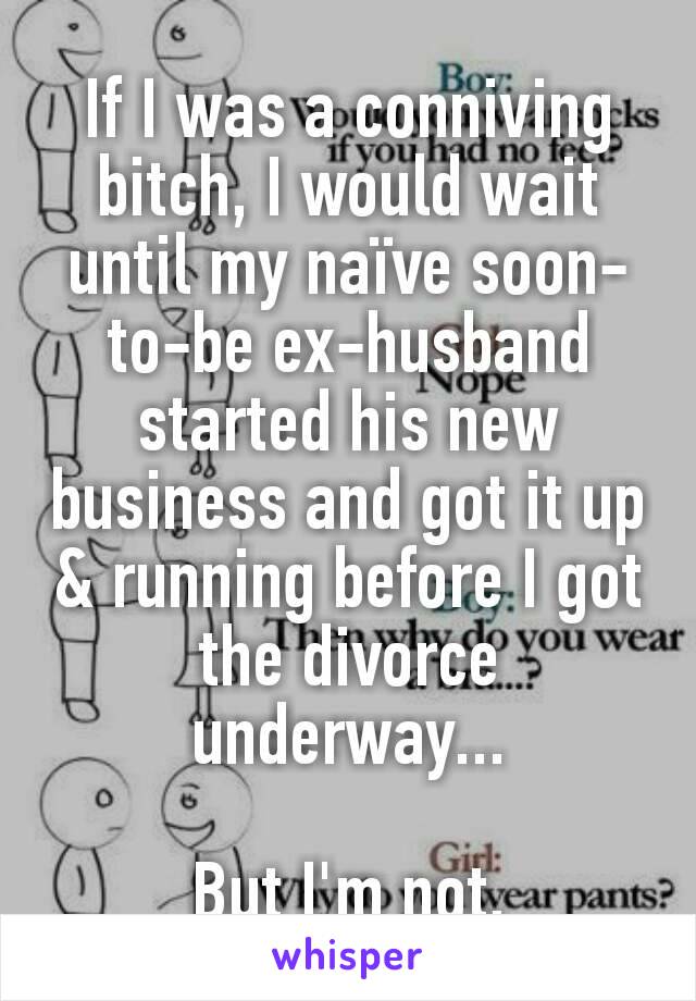 If I was a conniving bitch, I would wait until my naïve soon-to-be ex-husband started his new business and got it up & running before I got the divorce underway...

But I'm not.