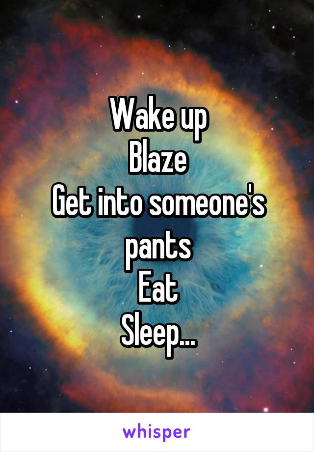 Wake up
Blaze
Get into someone's pants
Eat
Sleep...