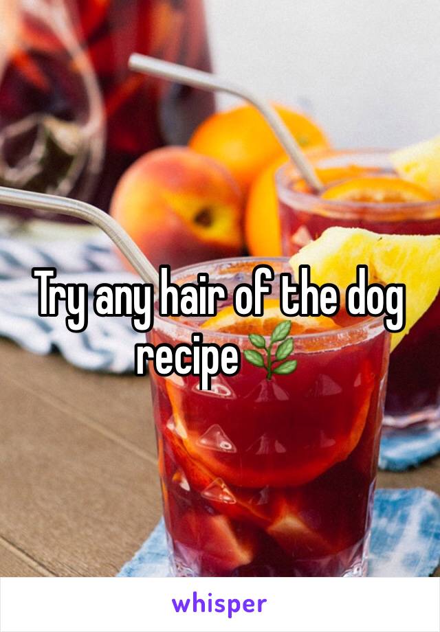 Try any hair of the dog recipe🌿