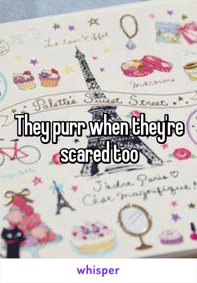 They purr when they're scared too