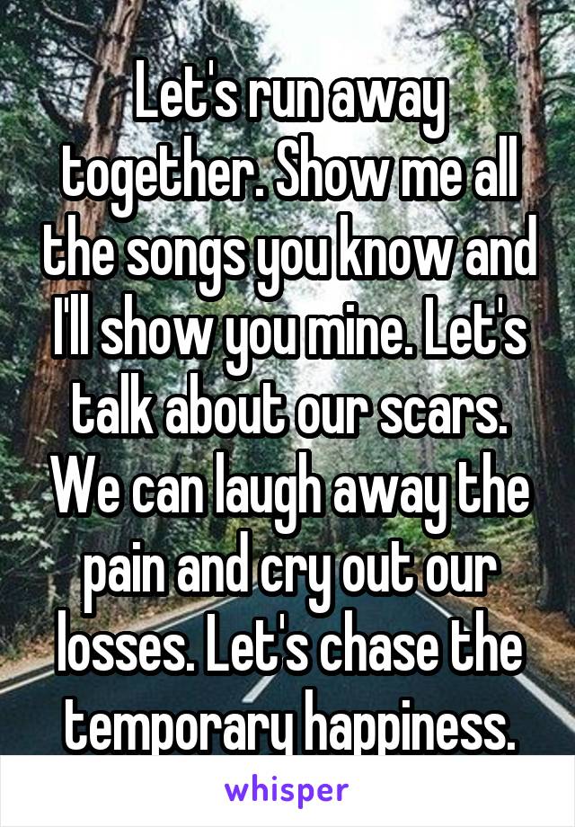 Let's run away together. Show me all the songs you know and I'll show you mine. Let's talk about our scars. We can laugh away the pain and cry out our losses. Let's chase the temporary happiness.