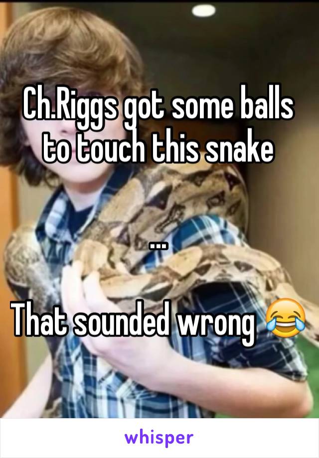 Ch.Riggs got some balls to touch this snake

...

That sounded wrong 😂