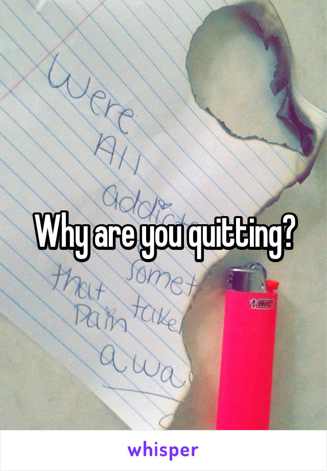 Why are you quitting?