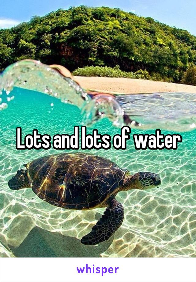 Lots and lots of water